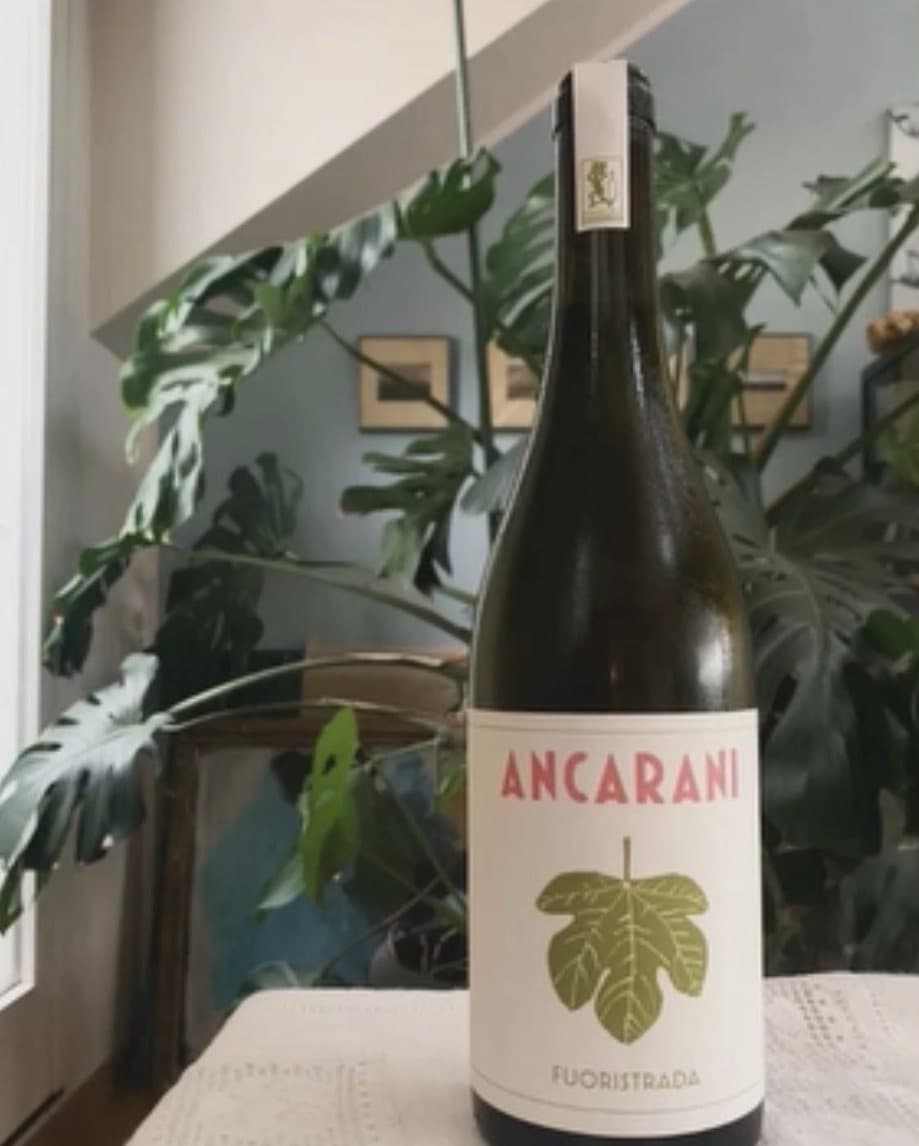 “Fuoristrada” Romagna Bianco Oriolo DOC 2023