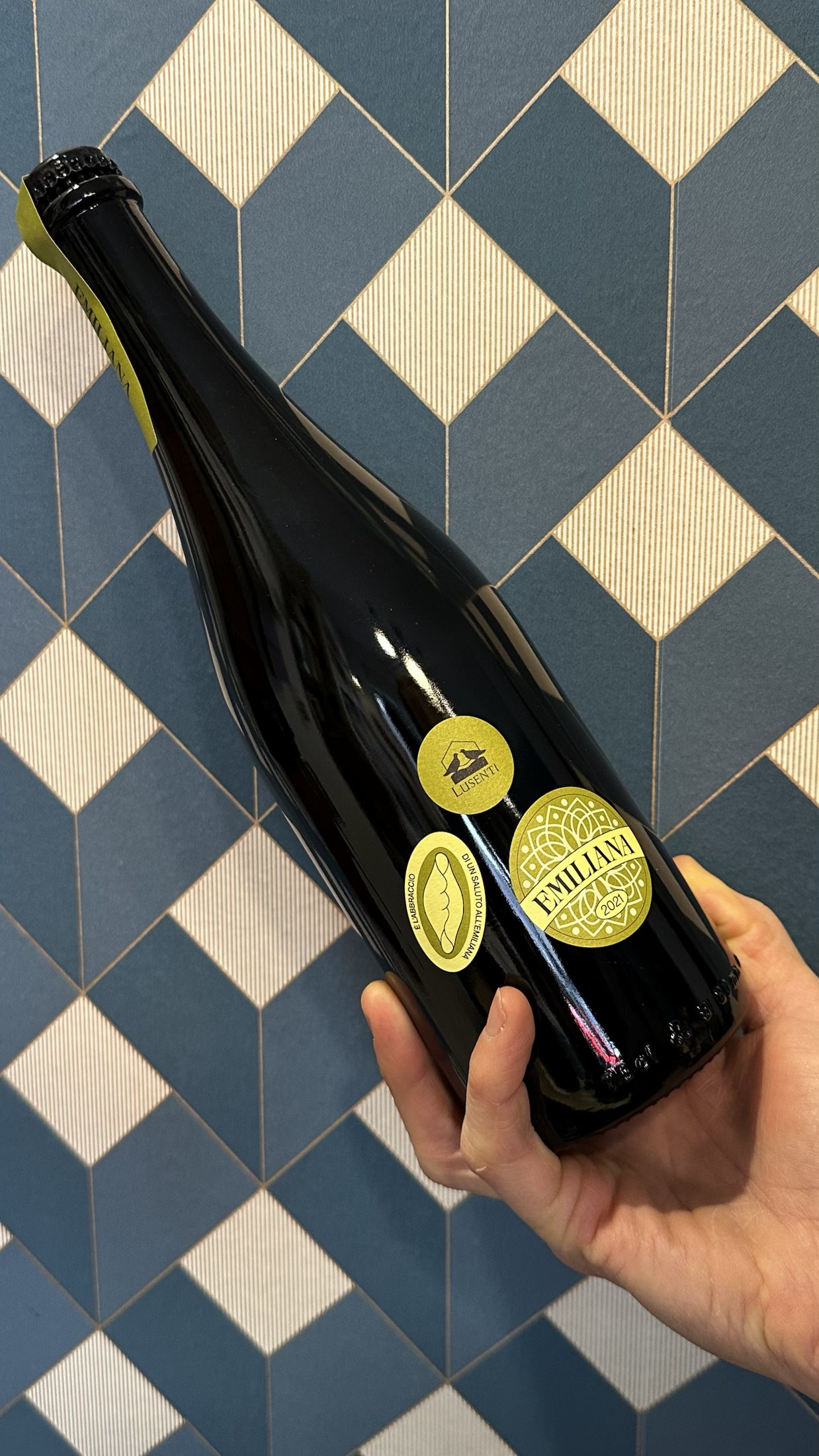 "Emiliana" Emilia IGT pet-nat